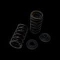 Picture of Brian Crower BC Spring & Retainer Kits Valve Springs, Retainers - BC0950