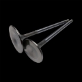 Picture of Brian Crower BC Intake Valve Sets - BC3800