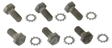 Picture of Moroso MOR Bolts - 38755
