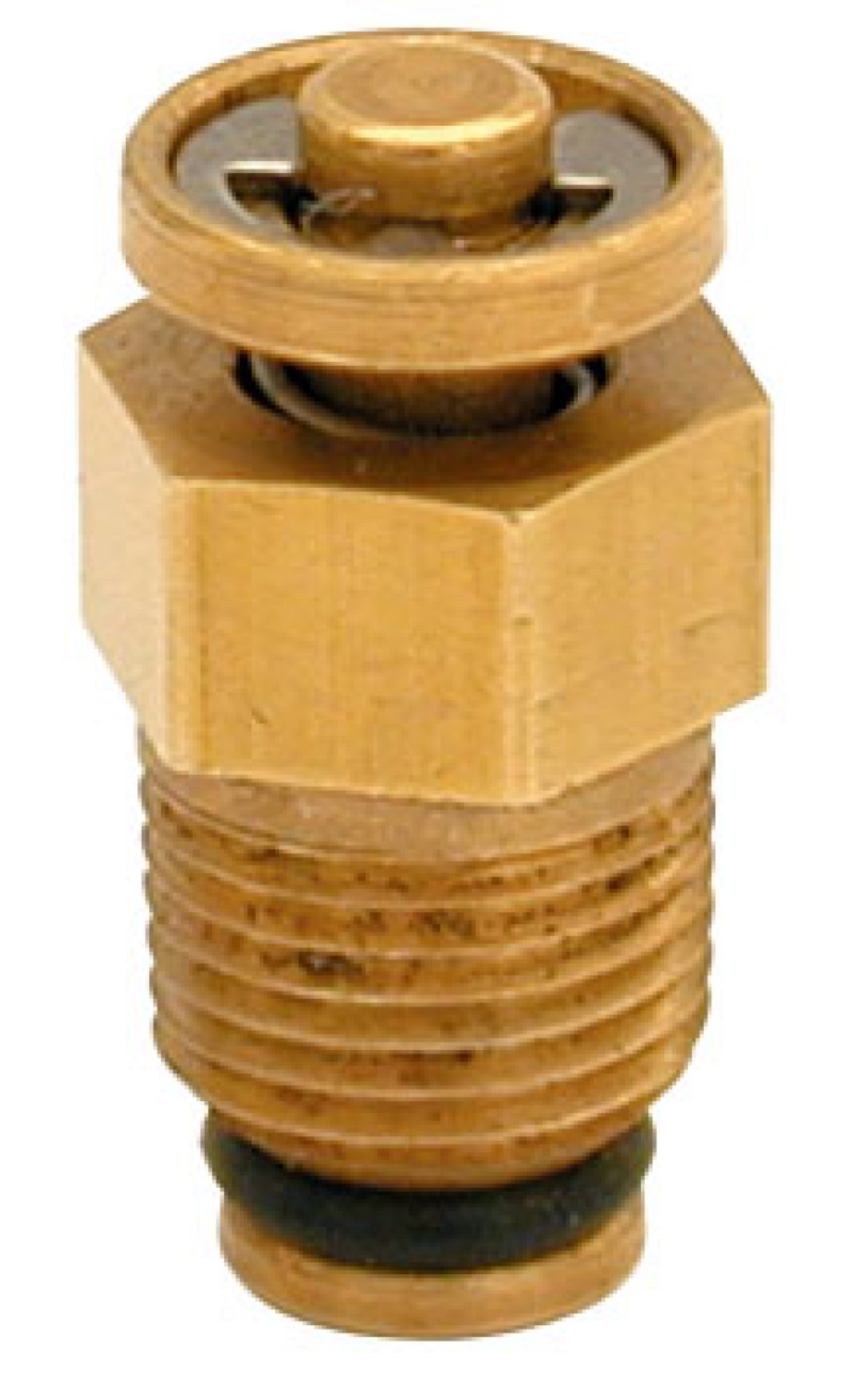 Picture of Moroso MOR Valves - 63765