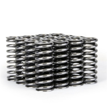 Picture of Skunk2 Racing SK Tuner Valve Springs Valve Springs, Retainers - 311-05-1345
