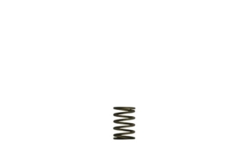 Picture of Turbosmart TS Wastegate Springs - TS-0550-3081