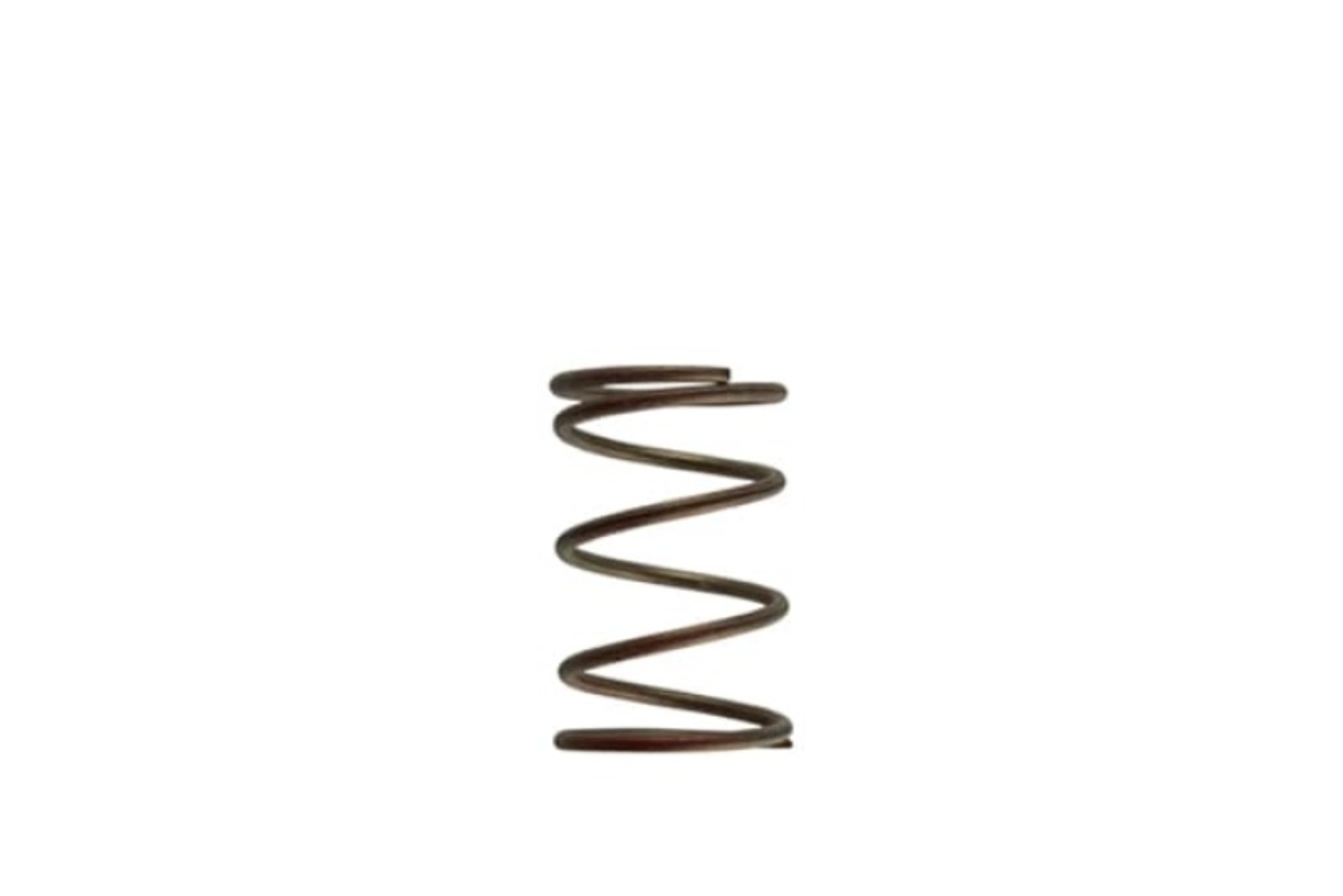Picture of Turbosmart TS Wastegate Springs - TS-0550-3084