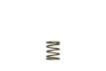 Picture of Turbosmart TS Wastegate Springs - TS-0550-3085