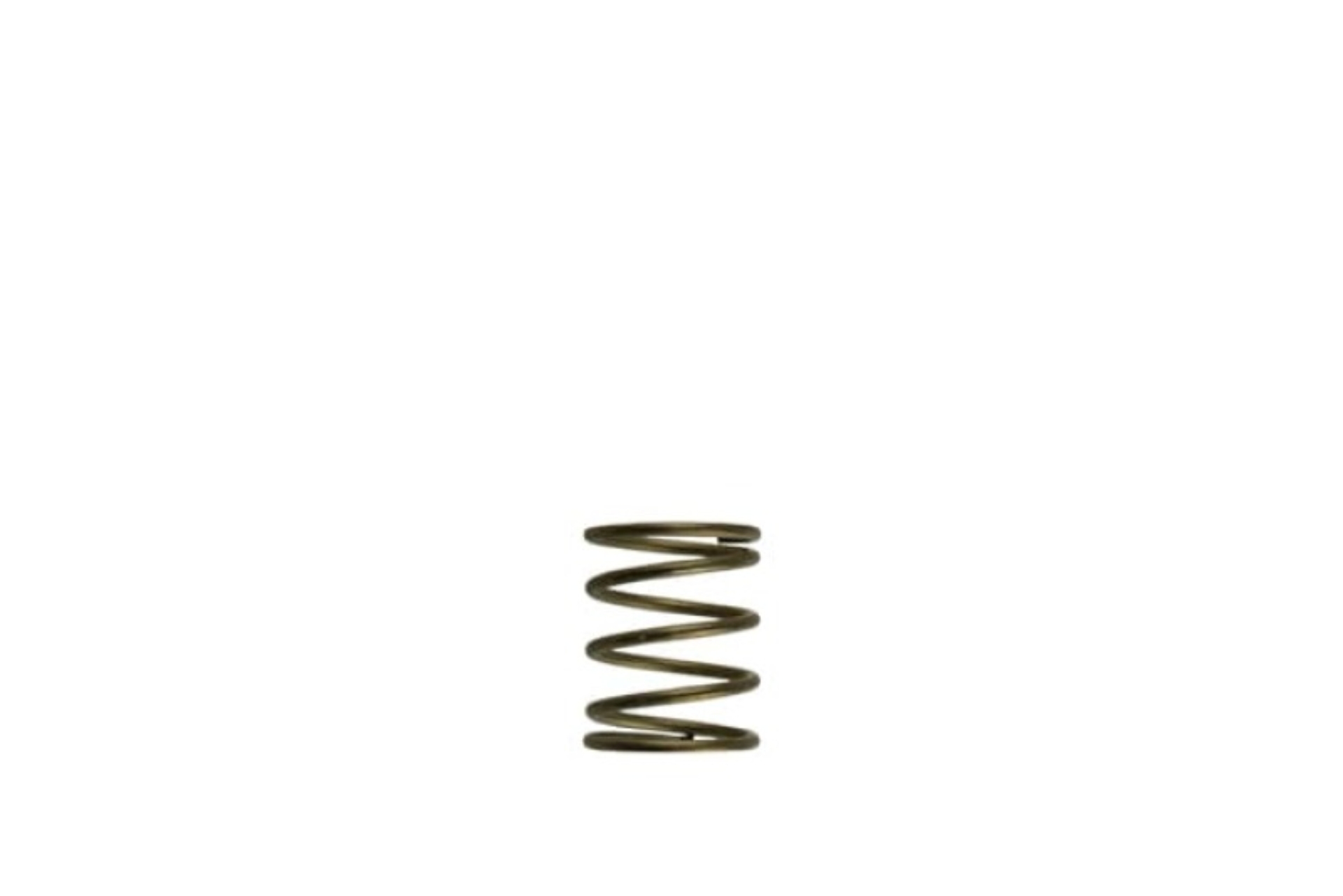 Picture of Turbosmart TS Wastegate Springs - TS-0550-3085