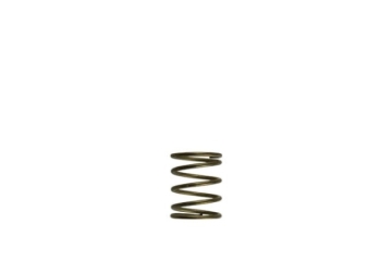 Picture of Turbosmart TS Wastegate Springs - TS-0550-3085