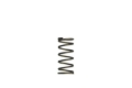 Picture of Turbosmart TS Wastegate Springs - TS-0550-3090