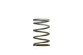 Picture of Turbosmart TS Wastegate Springs - TS-0550-3091