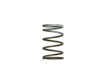 Picture of Turbosmart TS Wastegate Springs - TS-0550-3091