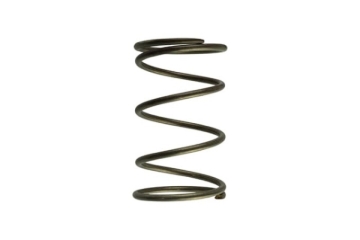 Picture of Turbosmart TS Wastegate Springs - TS-0550-3092