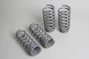 Picture of Progress Technology PRG Sport Lowering Springs - 40.0635