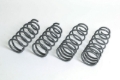 Picture of Progress Technology PRG Sport Lowering Springs - 40.1134