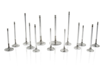 Picture of Ferrea FER Comp Plus Int Valve-Sngl - F1199P-1