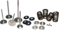 Picture of Ferrea FER Valve Spring Kits Valve Springs, Retainers - KT4034