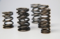 Picture of Ferrea FER Valve Springs-Sets Valve Springs, Retainers - S10022