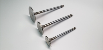 Picture of Ferrea FER Valve Guides-Single - VG1002-1