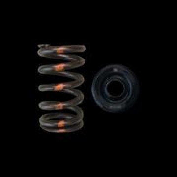 Picture of Brian Crower BC Spring & Retainer Kits Valve Springs, Retainers - BC0400S