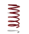 Picture of Pedders PED SportsRyder Springs Low Lowering Springs - PED-2142L