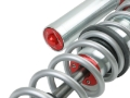 Picture of aFe Sway Coil Over Kit Coilovers - 851-5600-02-CA
