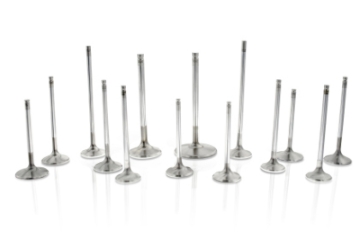 Picture of Ferrea FER Comp Plus Int Valve-Sets - F2431P