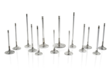 Picture of Ferrea FER Comp Plus Exh Valve-Sets - F2430P