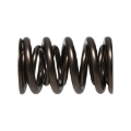 Picture of Manley Performance MAN Valve Spring Kits Valve Springs, Retainers - 221454-16