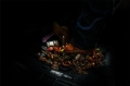 Picture of WeatherBeater Series