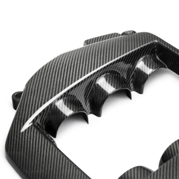 Picture of Seibon SEI Engine Covers - EC0910NSGTR