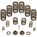 Picture of BD Diesel BDD Governor Spring Kits Injection Pump Components - 1040185