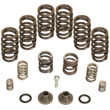 Picture of BD Diesel BDD Governor Spring Kits Injection Pump Components - 1040185