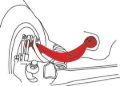 Picture of SPC Performance SPC Camber Kit - 67425