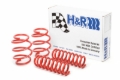Picture of H&R HR Sport Springs Lowering Springs - 28891-2