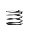 Picture of Individual Race Spring