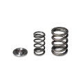 Picture of Skunk2 Racing SK Alpha Spring/Retainer Kit Valve Springs, Retainers - 344-05-1360