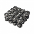 Picture of Skunk2 Racing SK Alpha Spring/Retainer Kit Valve Springs, Retainers - 344-05-1360