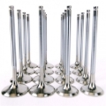 Picture of Skunk2 Racing SK Alpha Valves - 310-05-1400