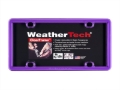 Picture of WeatherTech WT ClearFrame License Frame - 8ALPCF5