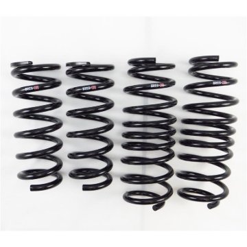 Picture of RS-R RSR Down Sus Springs Lowering Springs - N123D