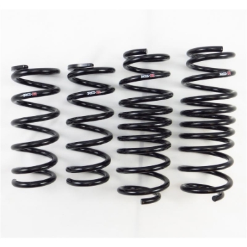 Picture of RS-R RSR Super Down Springs Lowering Springs - N123S
