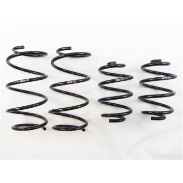 Picture of RS-R RSR Down Sus Springs Lowering Springs - N205D