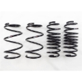 Picture of RS-R RSR Super Down Springs Lowering Springs - T085S