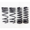 Picture of RS-R RSR Super Down Springs Lowering Springs - T197S2