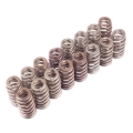 Picture of Ford Racing FR Valve Spring Kits Valve Springs, Retainers - M-6513-M50BR