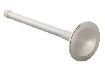 Picture of Ford Racing FR Exhaust Valves - M-6505-B304