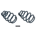Picture of Hotchkis HOT Coil Springs Lowering Springs - 19110F