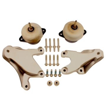 Picture of Ford Racing FR Engine Mounts - M-6038-M50