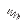 Picture of B3 OE Replacement - Coil Spring