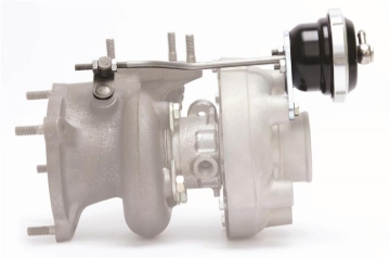 Picture of Turbosmart TS IWG75 Wastegates - TS-0624-3242