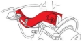 Picture of SPC Performance SPC Camber Kit - 72295
