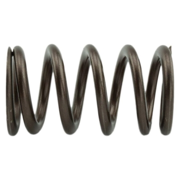 Picture of Industrial Injection IND PDM Valve Springs Valve Springs, Retainers - PDM-160-1484S-24